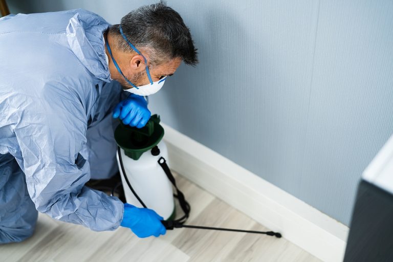 Why-Households-Make-the-Call-to-Pest-Control-Experts-in-Melbourne